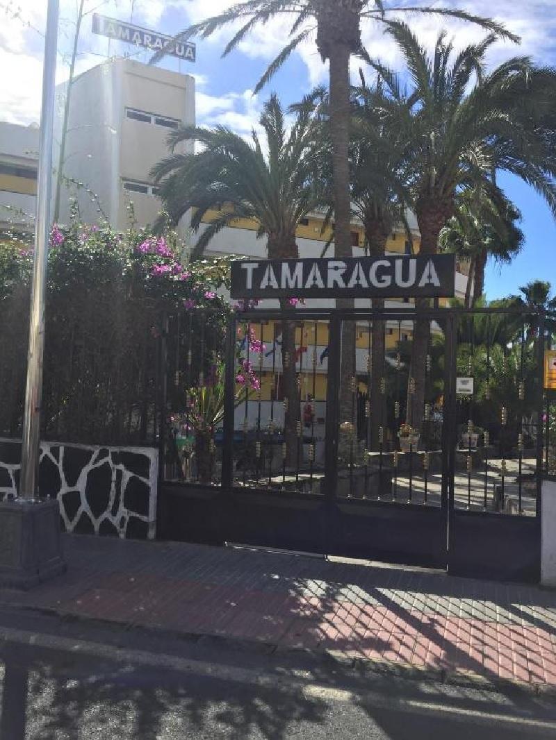 Apartamentos Tamaragua Apartment *